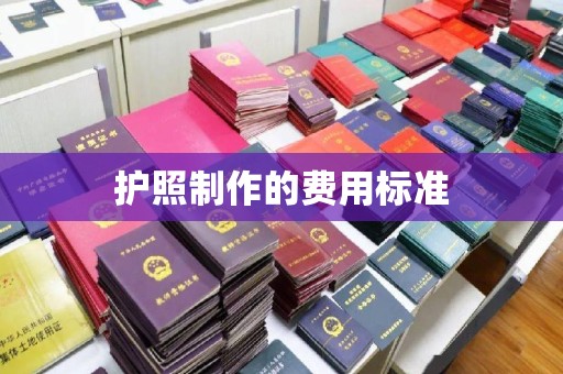 黄陵护照制作的费用标准